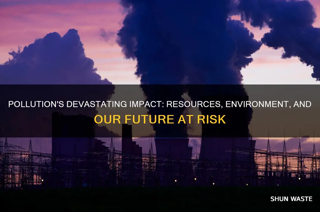 how does pollution affect our resources and environment