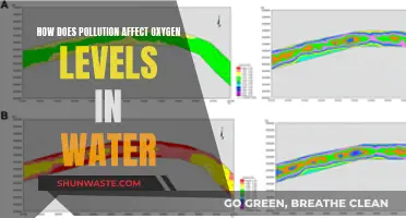 Pollution's Impact: Water Oxygen Levels Explained