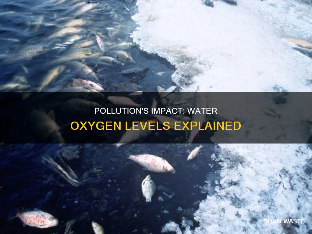 how does pollution affect oxygen levels in water