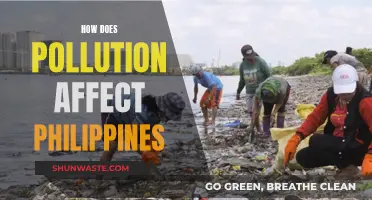 Pollution's Impact on the Philippines: A Sobering Reality