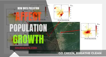 Pollution's Impact: Stunting Population Growth