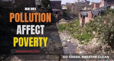 Pollution's Vicious Cycle: Trapping the Poor