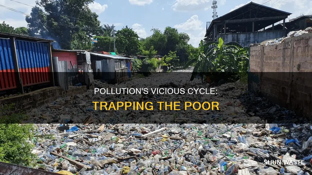 how does pollution affect poverty