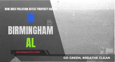 Birmingham, AL: Property Values and Pollution