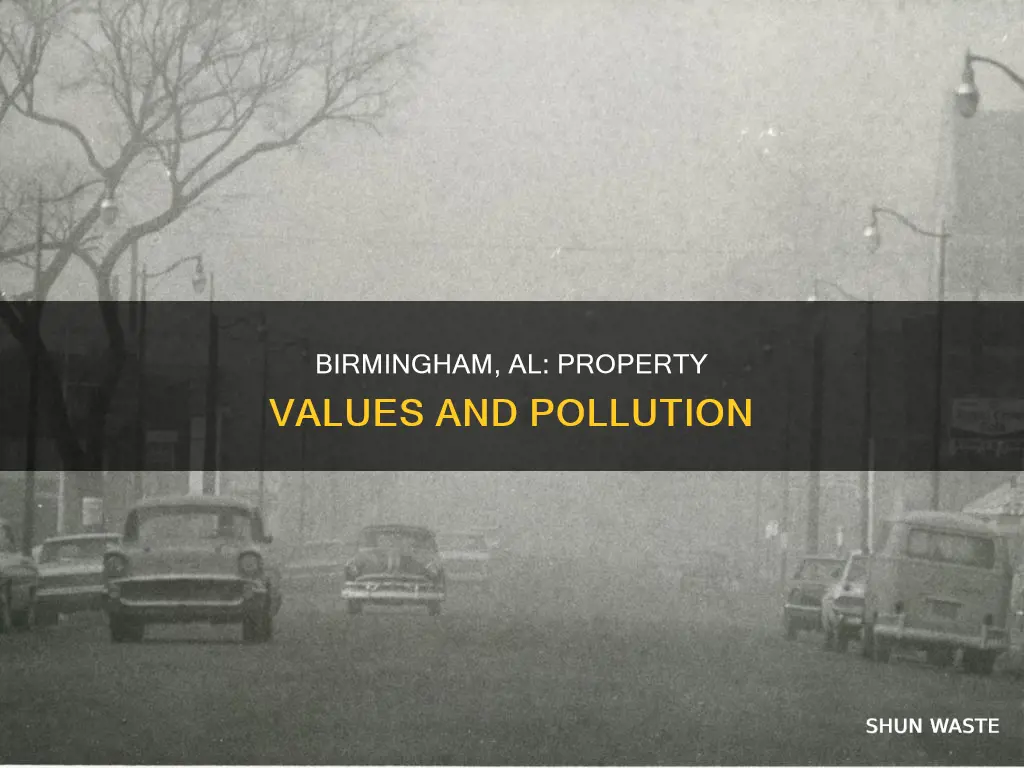 how does pollution affect property values in birmingham al