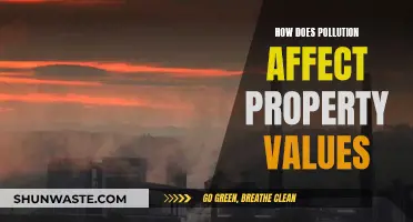 Pollution's Impact: Property Values and the Environment