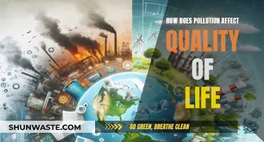 Pollution's Impact: Quality of Life Diminishes