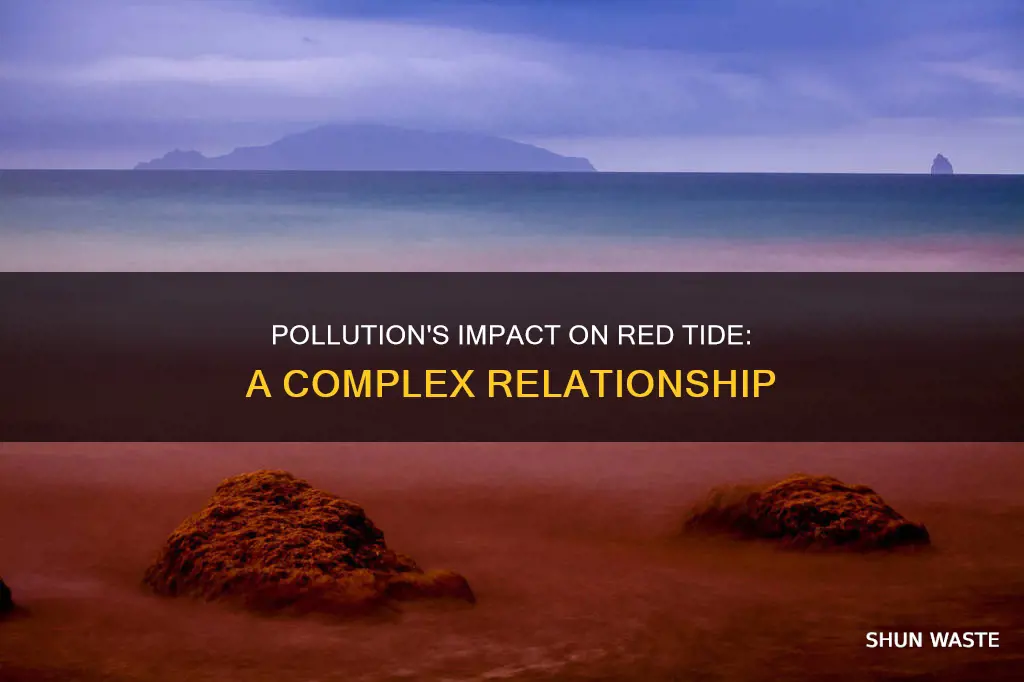 how does pollution affect red tide