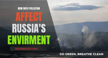 Russia's Environment: Pollution's Impact and Effects