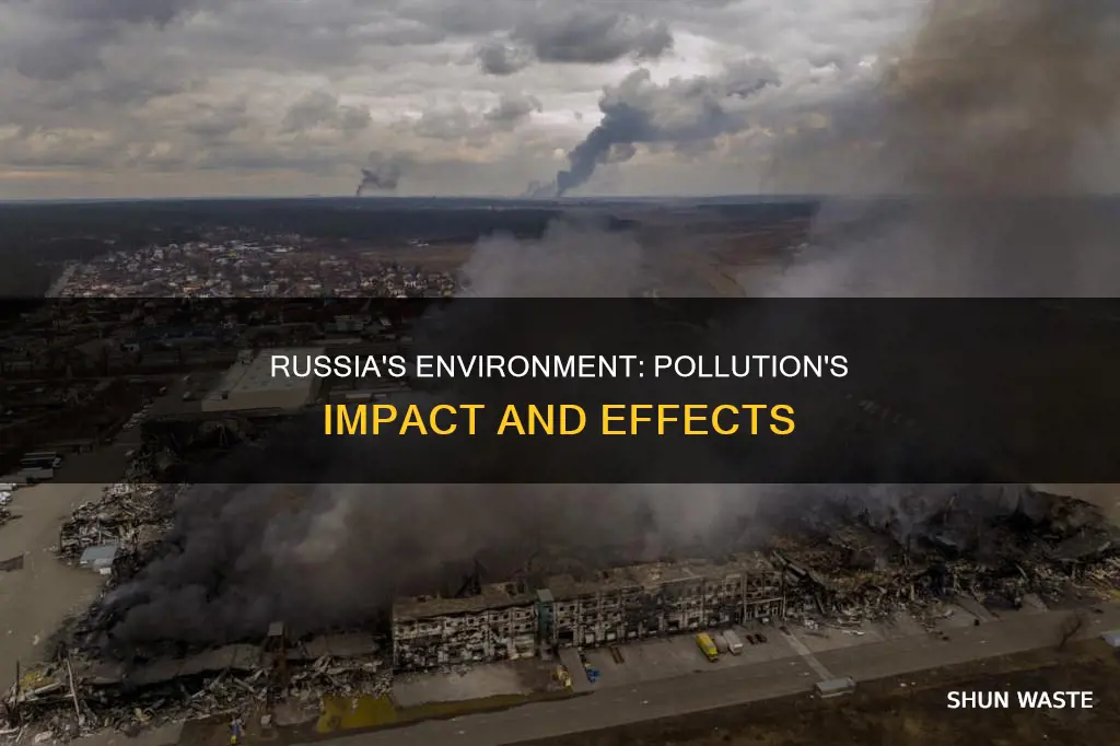 how does pollution affect russia