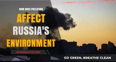 Russia's Environmental Crisis: Pollution's Devastating Impact on Nature and Health