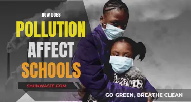 Pollution's Impact on Schools: A Hazardous Education