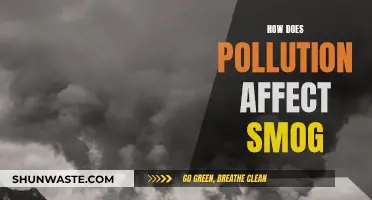 The Impact of Pollution: Understanding Smog's Origins