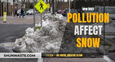 Pollution's Impact: Snow's Melting Point and Discoloration