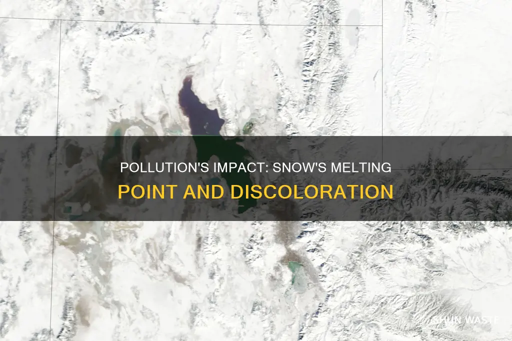 how does pollution affect snow