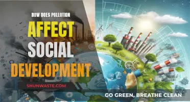 Pollution's Impact on Social Development: A Complex Web