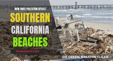 Pollution's Impact on Southern California's Beach Paradise