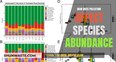 Pollution's Impact: Species Abundance and Diversity Decline