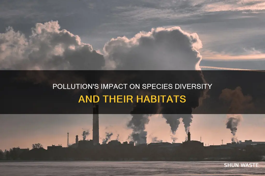 how does pollution affect species diversity