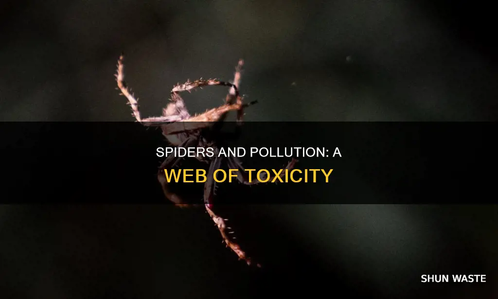 how does pollution affect spiders