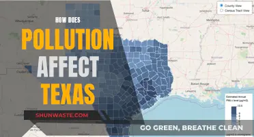 Texas' Pollution Problem: Impact and Solutions