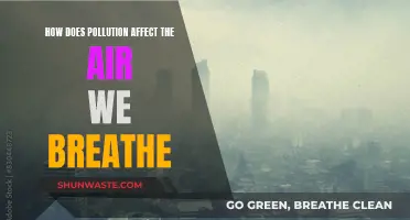 Air Pollution: Damaging Our Breathing, Our Health