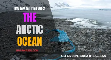 Arctic Ocean Pollution: Understanding the Impact and Consequences