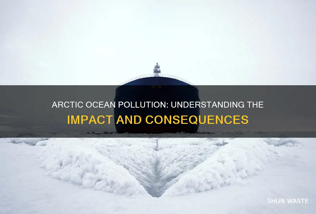 how does pollution affect the arctic ocean