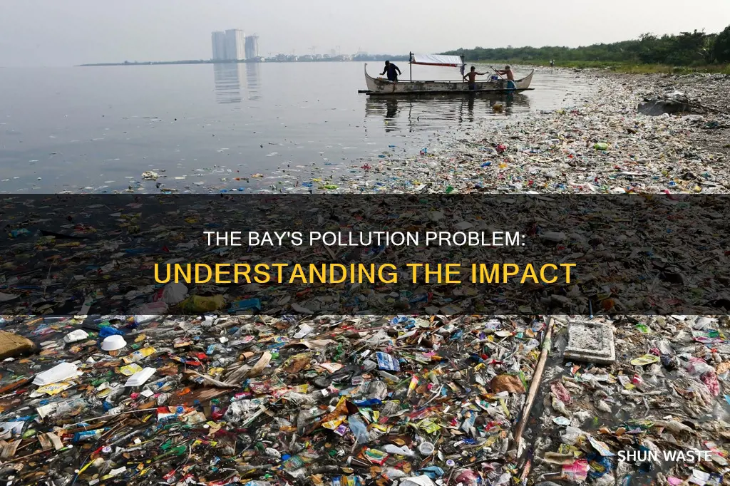 how does pollution affect the bay