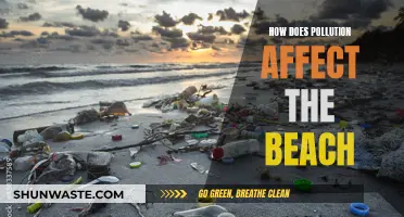 Pollution's Impact on Beaches: A Worrying Reality