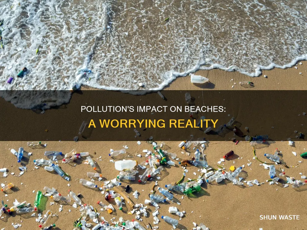 how does pollution affect the beach