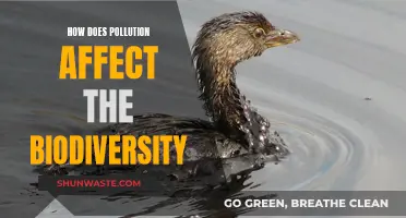 Pollution's Impact: Biodiversity Loss and Ecosystem Disruption