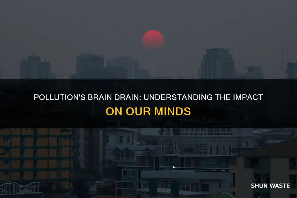 how does pollution affect the brain