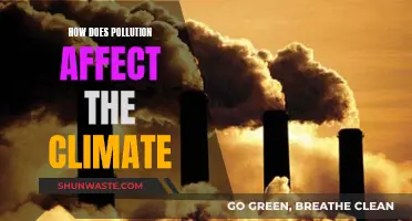 Climate Change: Pollution's Impact and Influence