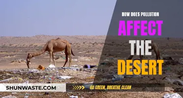 Pollution's Impact: Deserts Under Threat