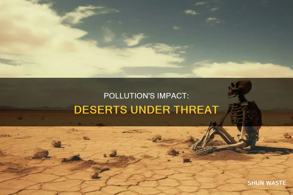 how does pollution affect the desert