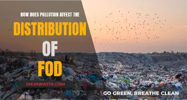 Pollution's Impact on Food Distribution: A Complex Web