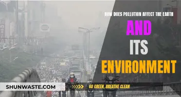 Pollution's Impact: Earth and Environment Suffer