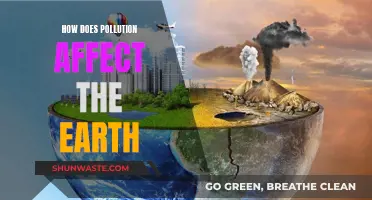 Pollution's Impact: Earth's Future at Stake