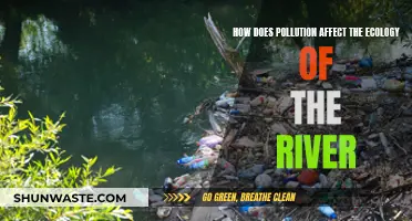 River Pollution: Impacting Aquatic Ecology and Health