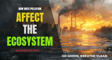 Pollution's Impact: Understanding Ecosystem Disruption and Decline