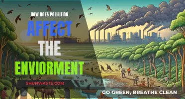 Pollution's Impact: Understanding Environmental Threats