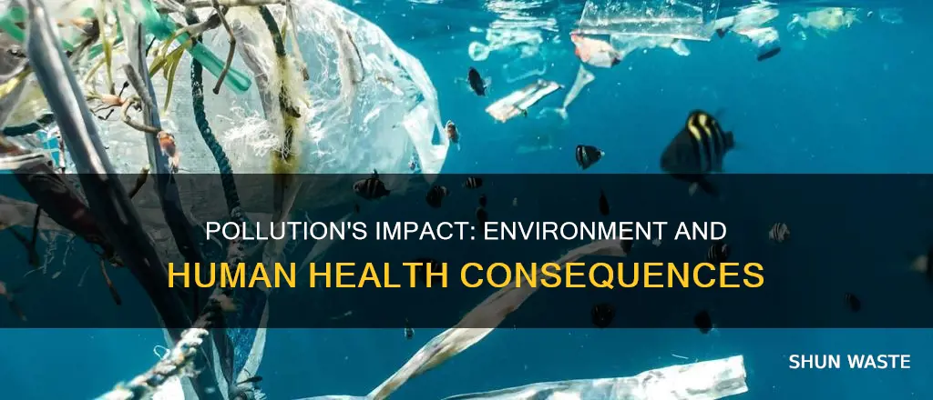 how does pollution affect the environment and human health