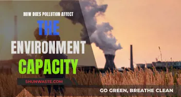 Pollution's Impact: Environment's Capacity and Resilience