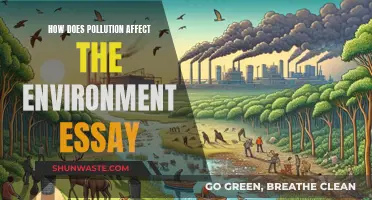 Pollution's Impact: Environmental Harm and Our Future