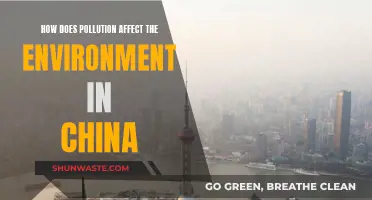 Pollution's Impact on China's Environment: A Critical Analysis