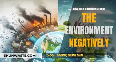 Pollution's Harmful Impact: Destroying Our Environment and Health