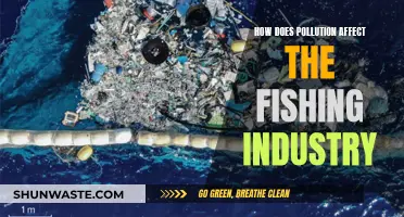 Pollution's Impact on Fishing: A Toxic Relationship