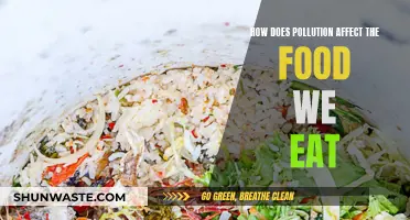 Pollution's Impact: The Food We Eat