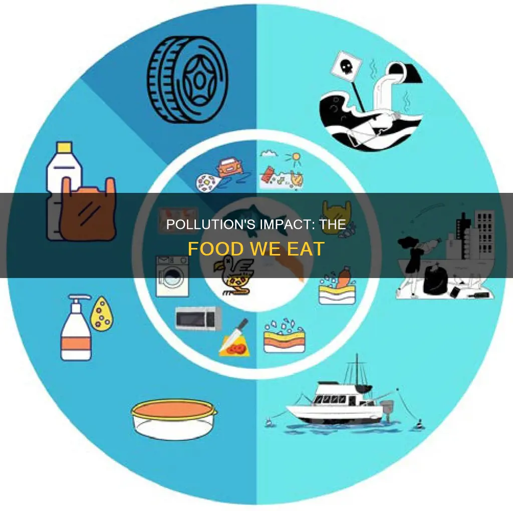 how does pollution affect the food we eat